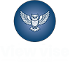 VIEWVISE Consultancy Pvt Ltd